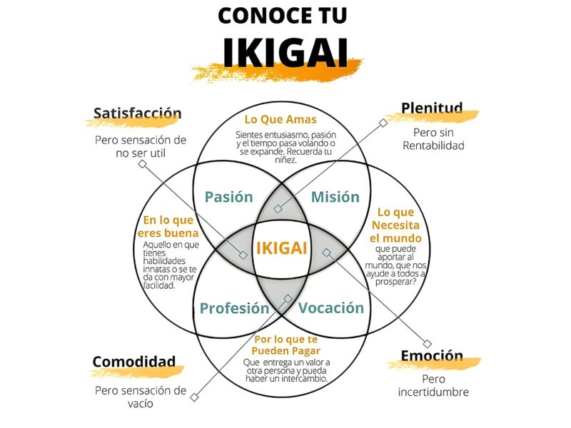 Ikigai Definitivo